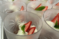 Melbourne-Cup-2025-photos_html_248ef54f