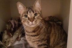 Beaumont_aged_care_Tamborine_7