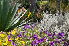 Beaumont_aged_care_Tamborine_8