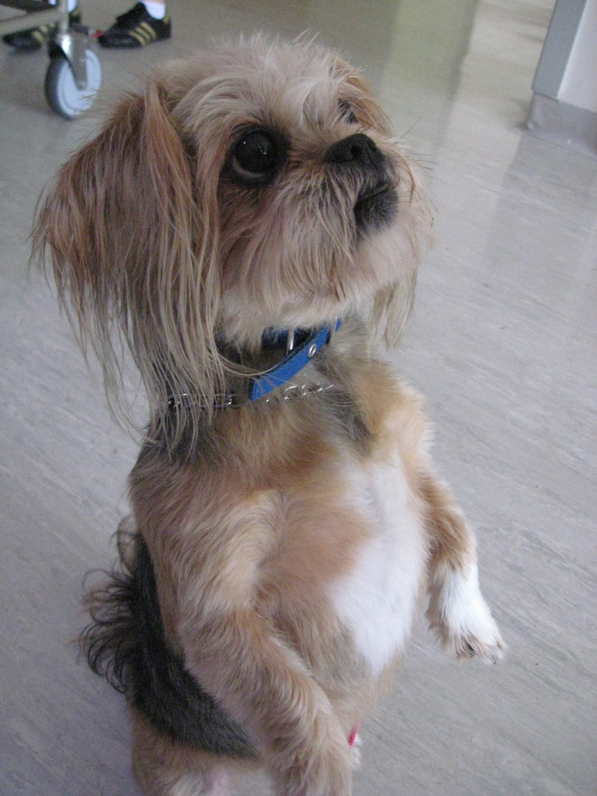 sweetie cute as Beaumont Care