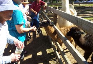 White Ridge Farm