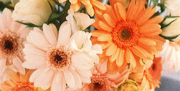 A Nice Letter About Roslyn Lodge