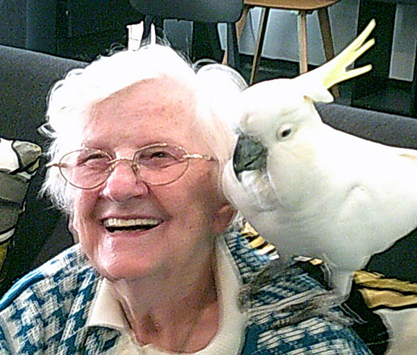 Fine Feathered Friends